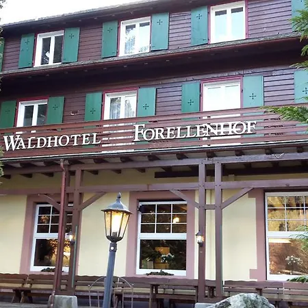 Waldhotel Forellenhof Hotel 3*