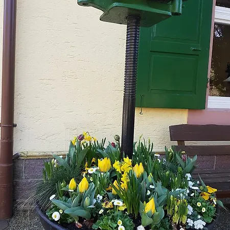 فايدهوتيل فوريلينهوف فندق بادن بادن