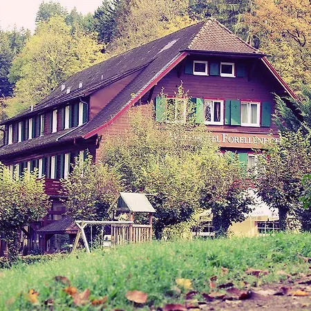 فايدهوتيل فوريلينهوف بادن بادن