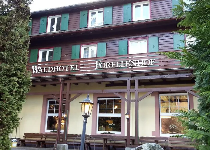 Waldhotel Forellenhof Hotel 3*