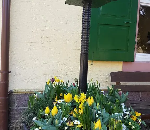 Waldhotel Forellenhof Hotel Baden-Baden